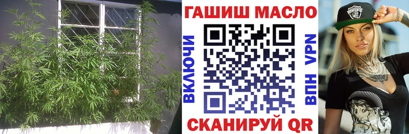 Купить закладки  Петров Вал  Дистиллят ТГК THC oil 