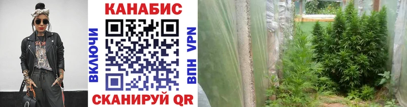 Купить где  Петров Вал  Каннабис Bruce Banner 